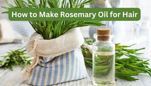 How to Make Rosemary Oil for Hair: A Step-by-Step Guide